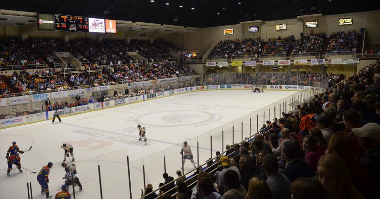 fan-zone-knoxville-ice-bears