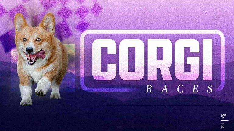 Corgi Races Knoxville Ice Bears