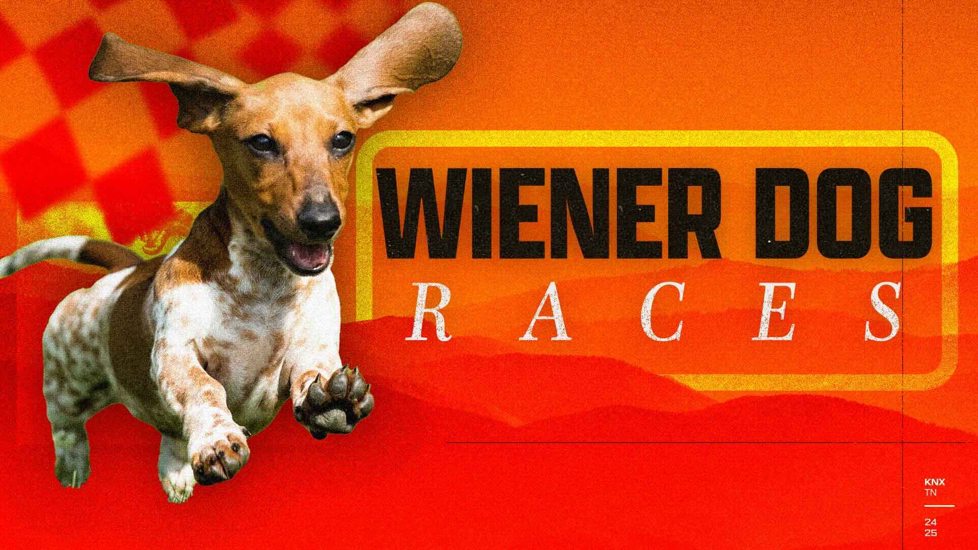 Knoxville Ice Bears Wiener Dog Races